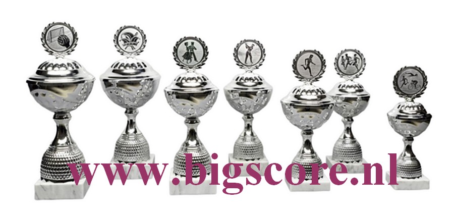 Z 608 Beker Zilver 7 Delig
